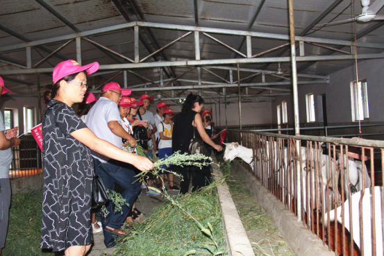 jxf吉祥坊(中国)官方网站