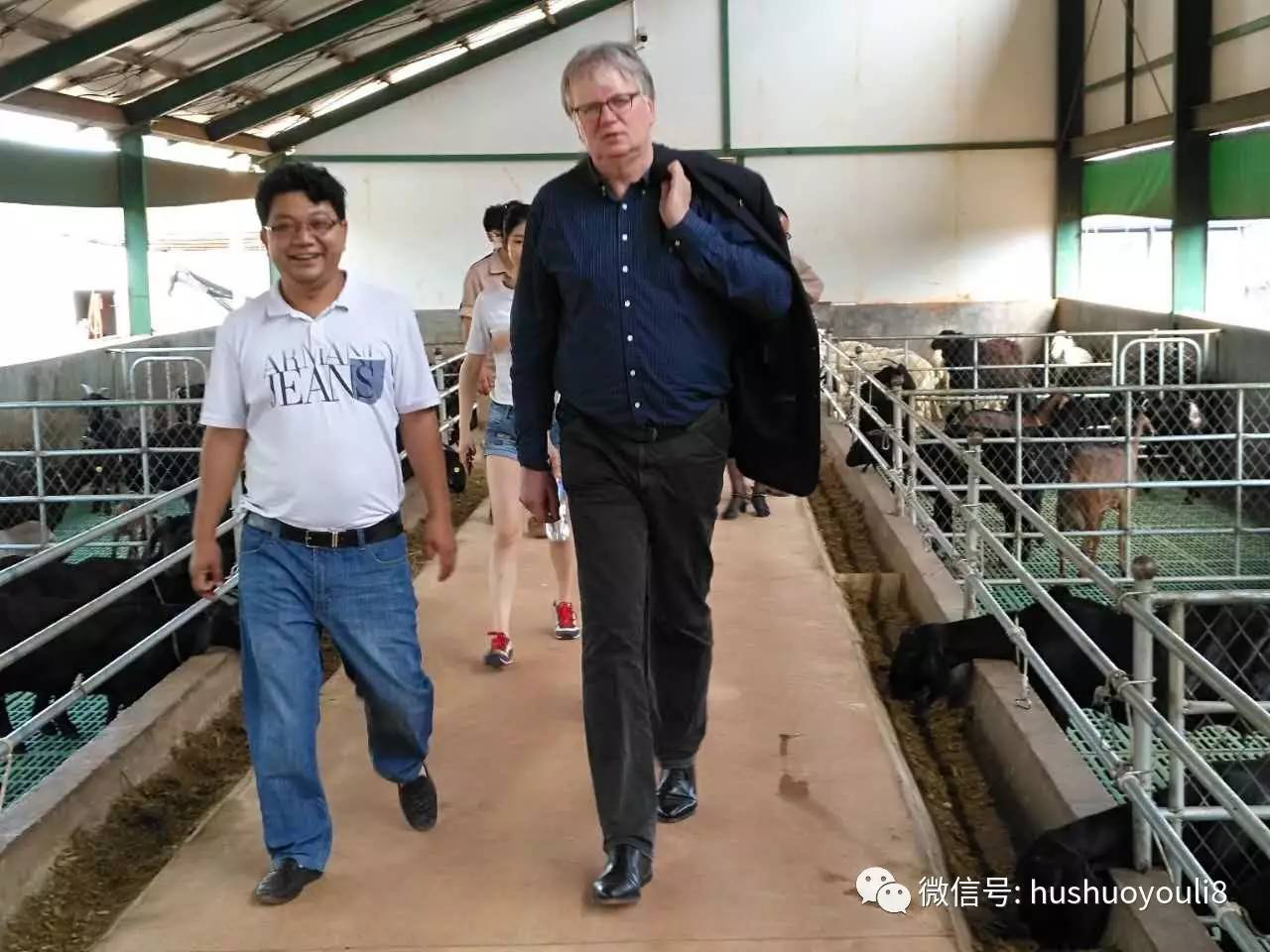 jxf吉祥坊(中国)官方网站