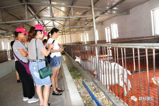 jxf吉祥坊(中国)官方网站