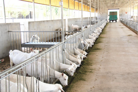 jxf吉祥坊(中国)官方网站