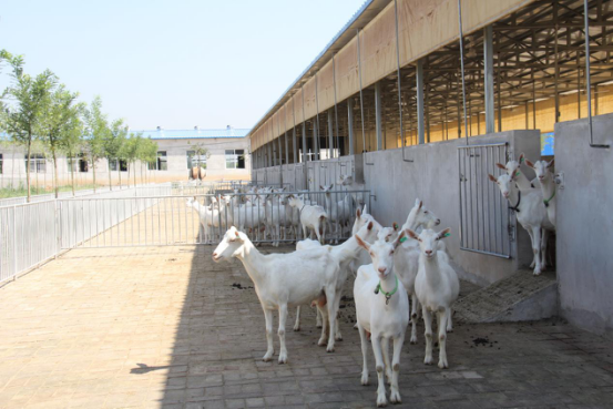 jxf吉祥坊(中国)官方网站