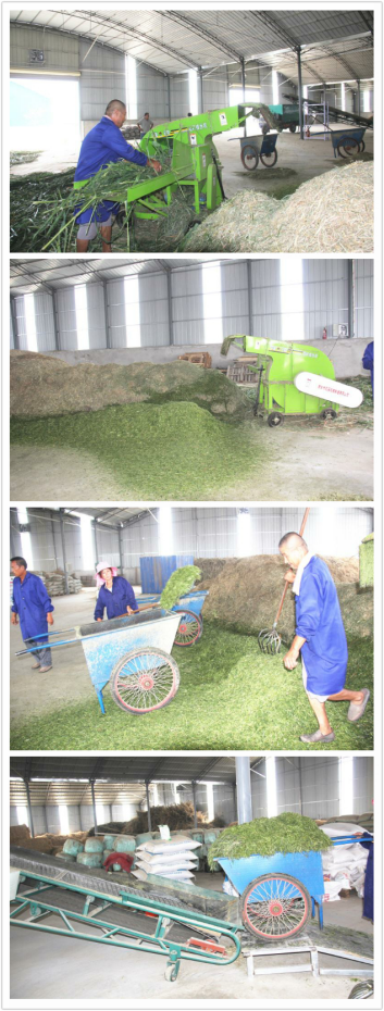 jxf吉祥坊(中国)官方网站