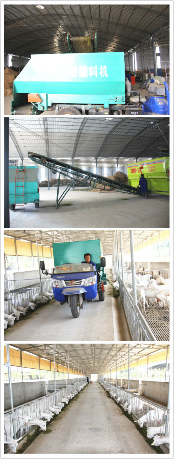 jxf吉祥坊(中国)官方网站