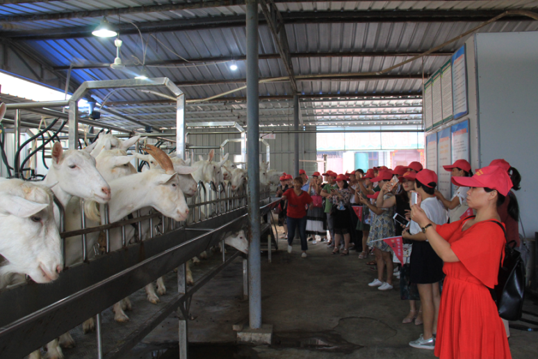 jxf吉祥坊(中国)官方网站