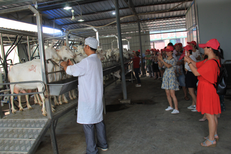 jxf吉祥坊(中国)官方网站