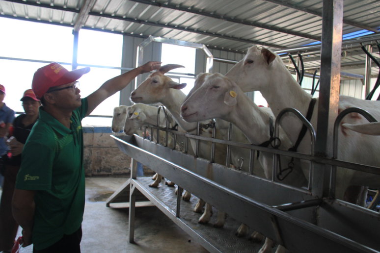 jxf吉祥坊(中国)官方网站