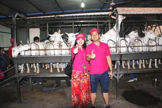 jxf吉祥坊(中国)官方网站