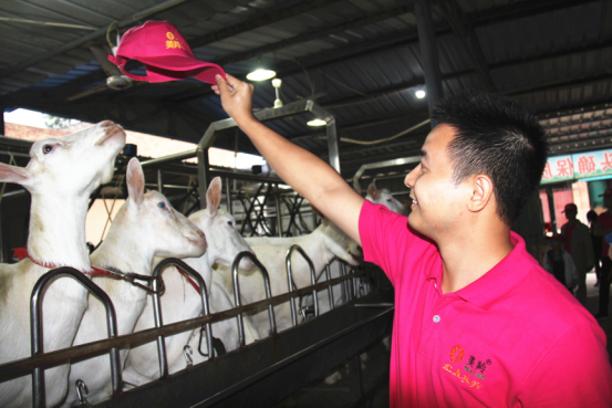 jxf吉祥坊(中国)官方网站