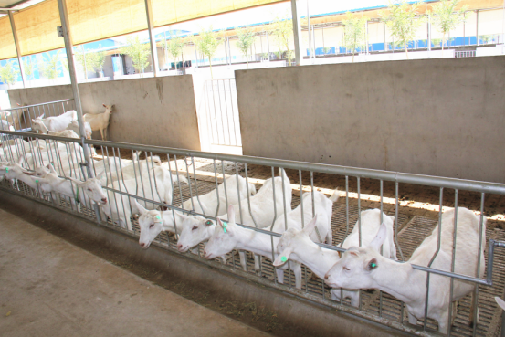 jxf吉祥坊(中国)官方网站