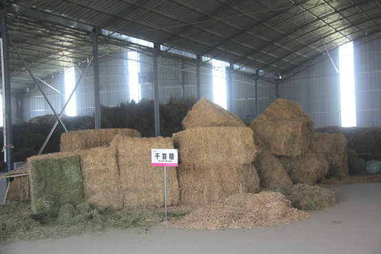 jxf吉祥坊(中国)官方网站