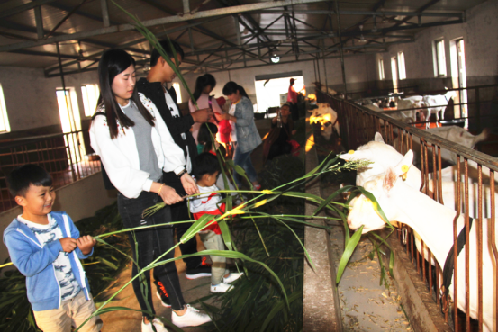 jxf吉祥坊(中国)官方网站