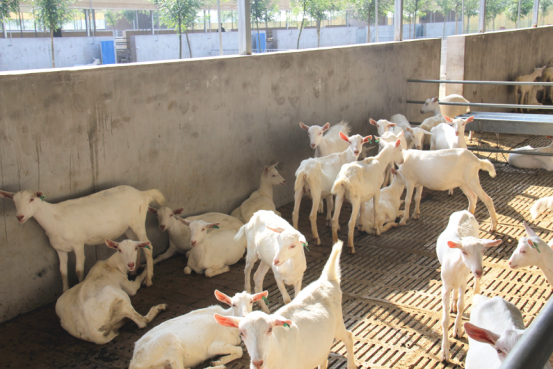 jxf吉祥坊(中国)官方网站