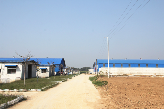 jxf吉祥坊(中国)官方网站