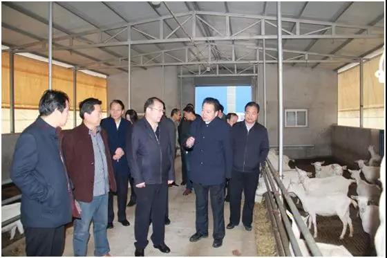 jxf吉祥坊(中国)官方网站