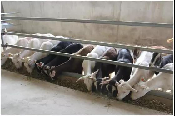 jxf吉祥坊(中国)官方网站