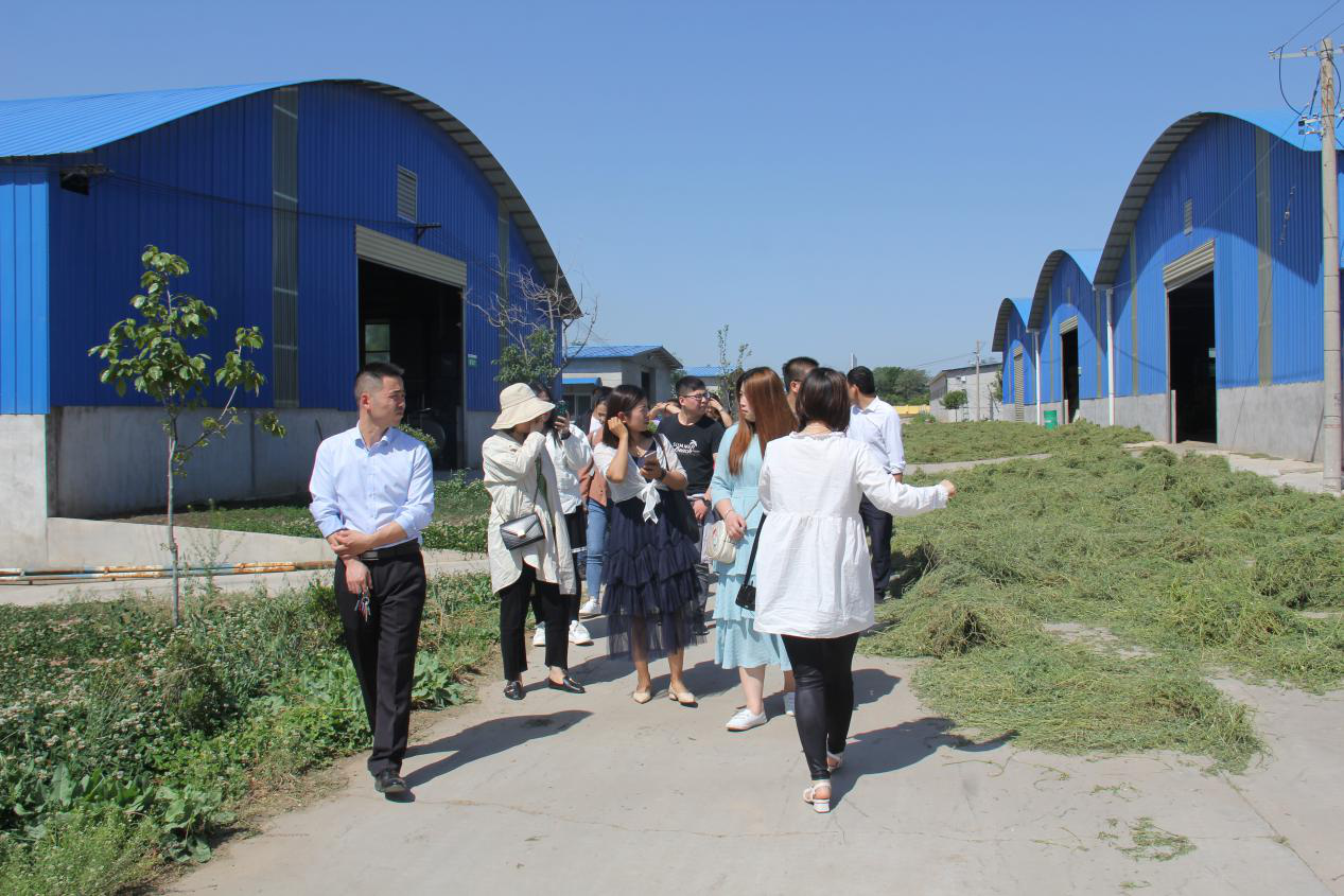 jxf吉祥坊(中国)官方网站