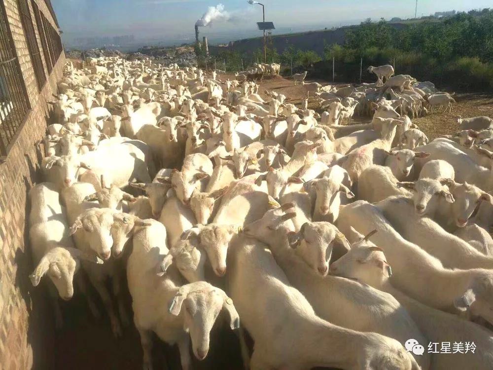 jxf吉祥坊(中国)官方网站