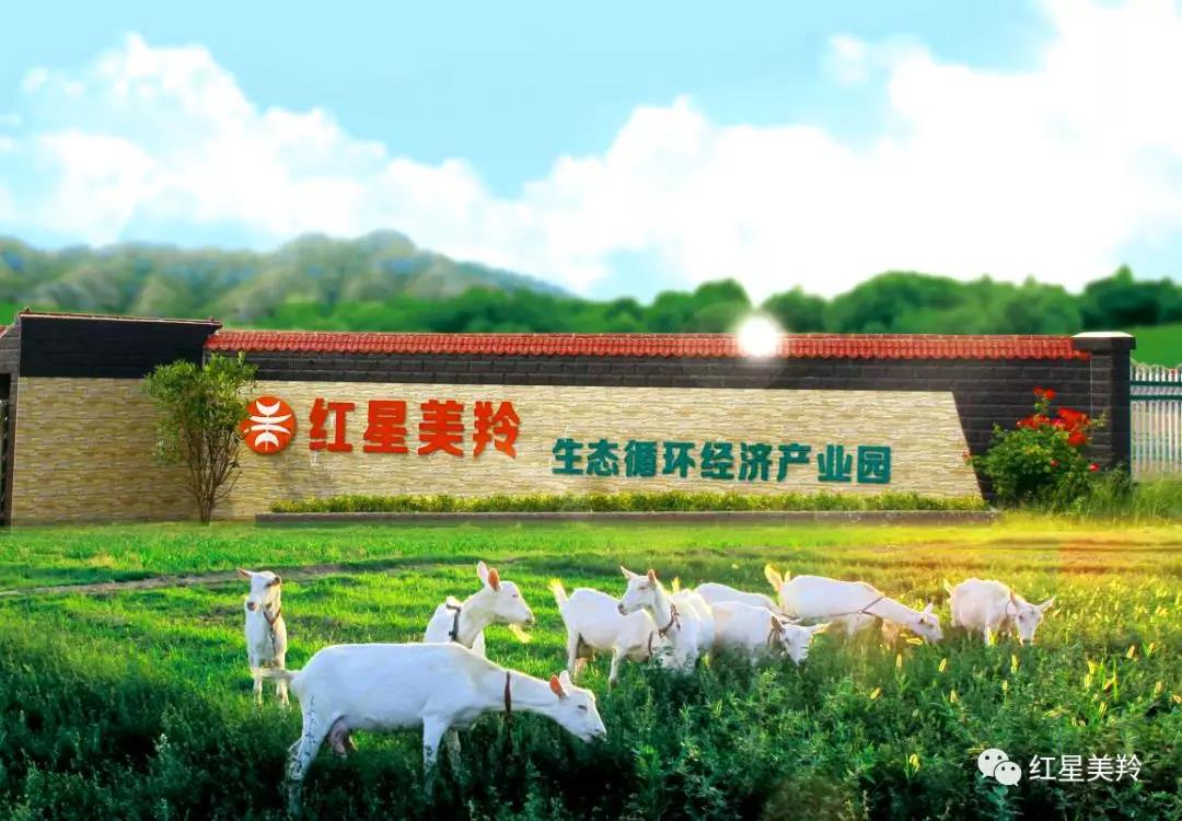 jxf吉祥坊(中国)官方网站