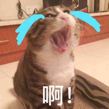 jxf吉祥坊(中国)官方网站