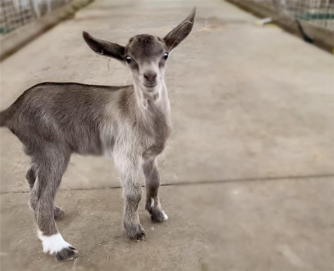jxf吉祥坊(中国)官方网站
