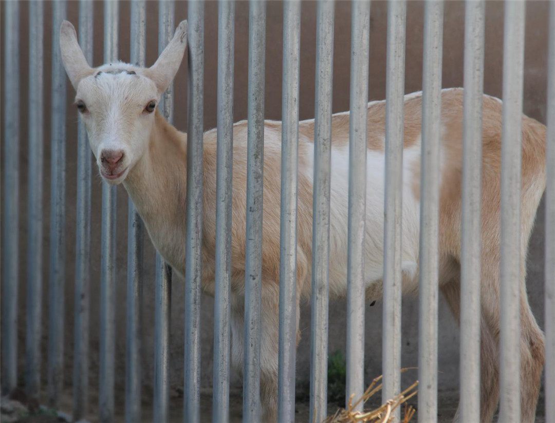 jxf吉祥坊(中国)官方网站